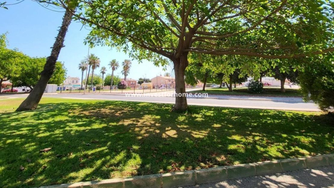 Försäljning - Lägenhet - Torrevieja - Playa de los Locos