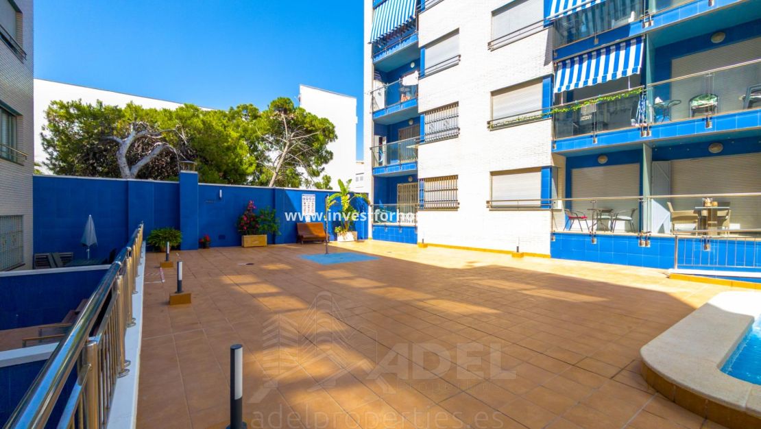 Försäljning - Lägenhet - Torrevieja - Playa de los Locos
