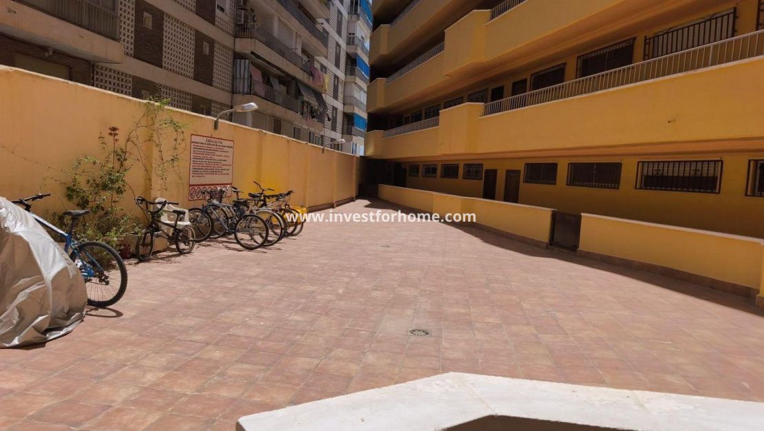 Försäljning - Lägenhet - Torrevieja - Puerto Deportivo