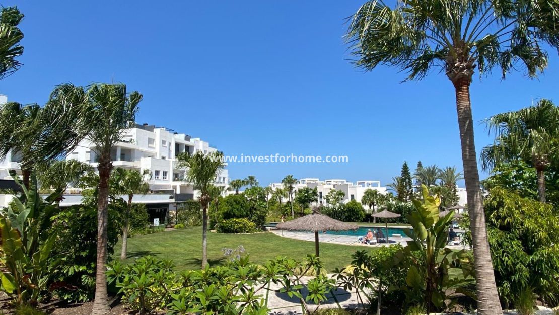 Försäljning - Lägenhet - Torrevieja - Punta prima