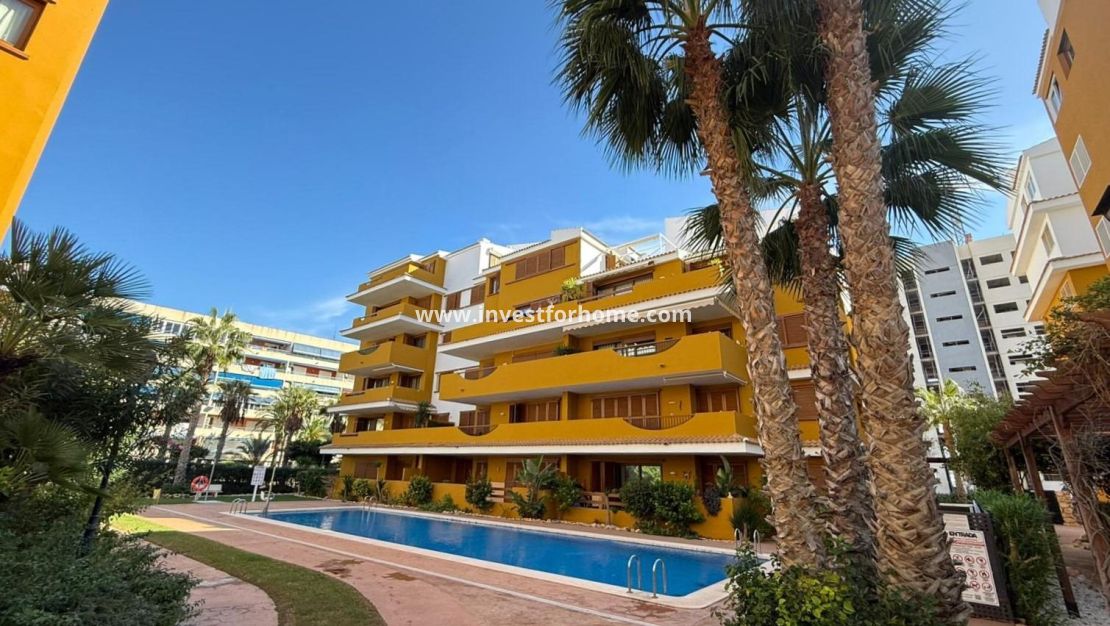 Försäljning - Lägenhet - Torrevieja - Punta prima