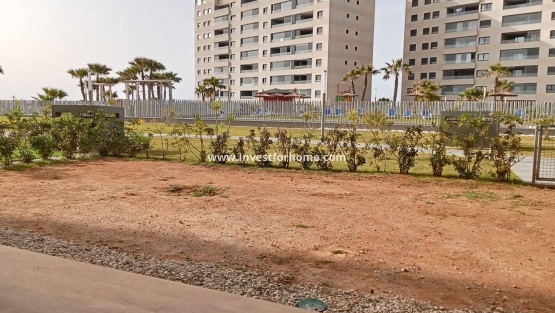 Försäljning - Lägenhet - Torrevieja - Punta prima