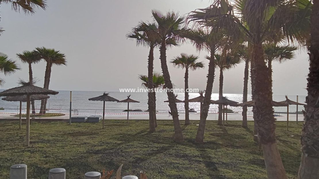 Försäljning - Lägenhet - Torrevieja - Punta prima