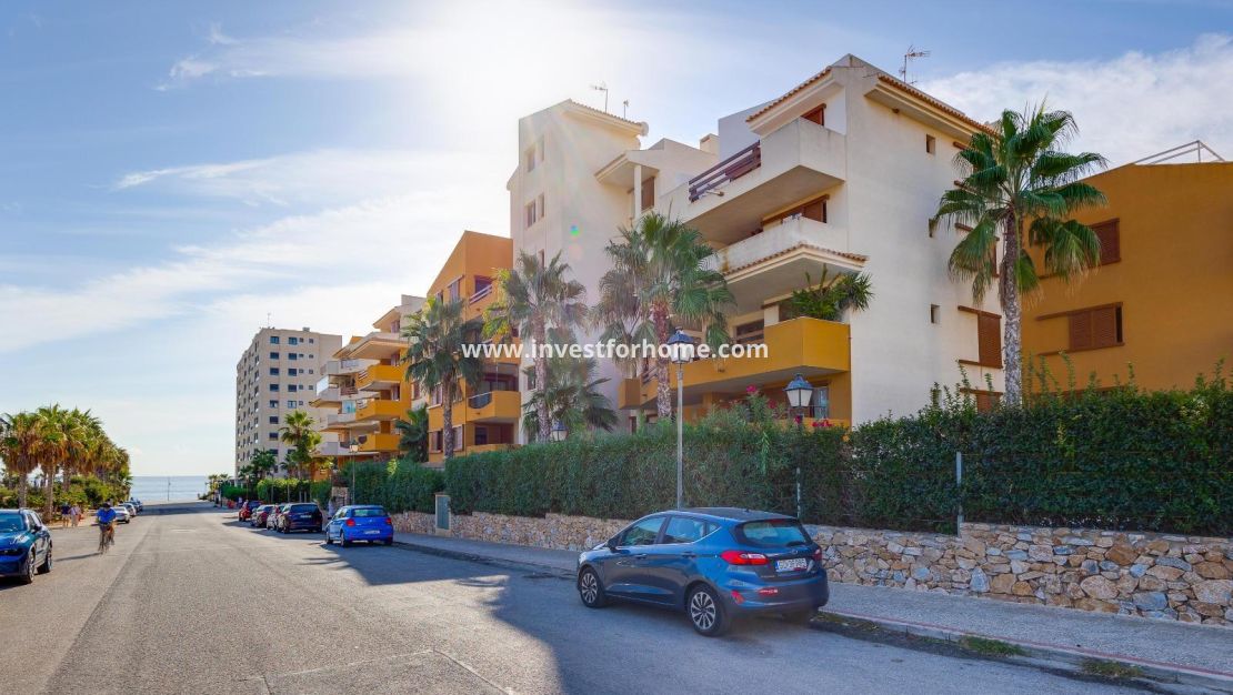 Försäljning - Lägenhet - Torrevieja - Punta prima