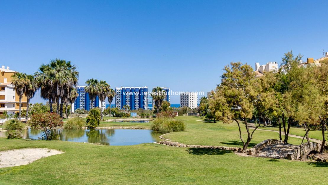 Försäljning - Lägenhet - Torrevieja - Punta prima