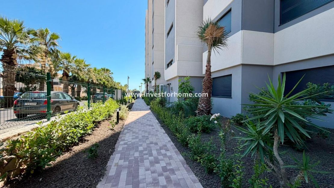 Försäljning - Lägenhet - Torrevieja - Punta prima