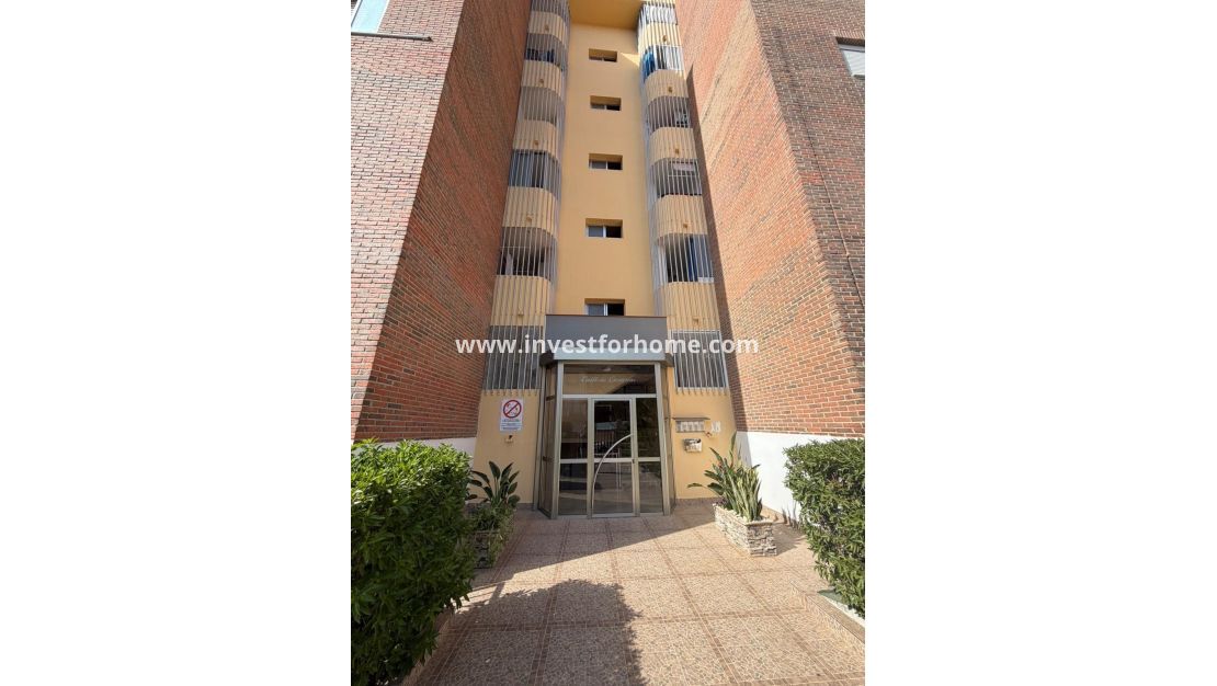 Försäljning - Lägenhet - Torrevieja - Punta prima