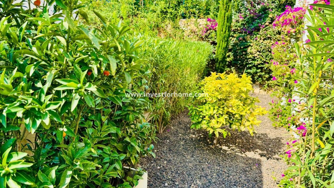 Försäljning - Villa - Algorfa - Club De Golf La Finca