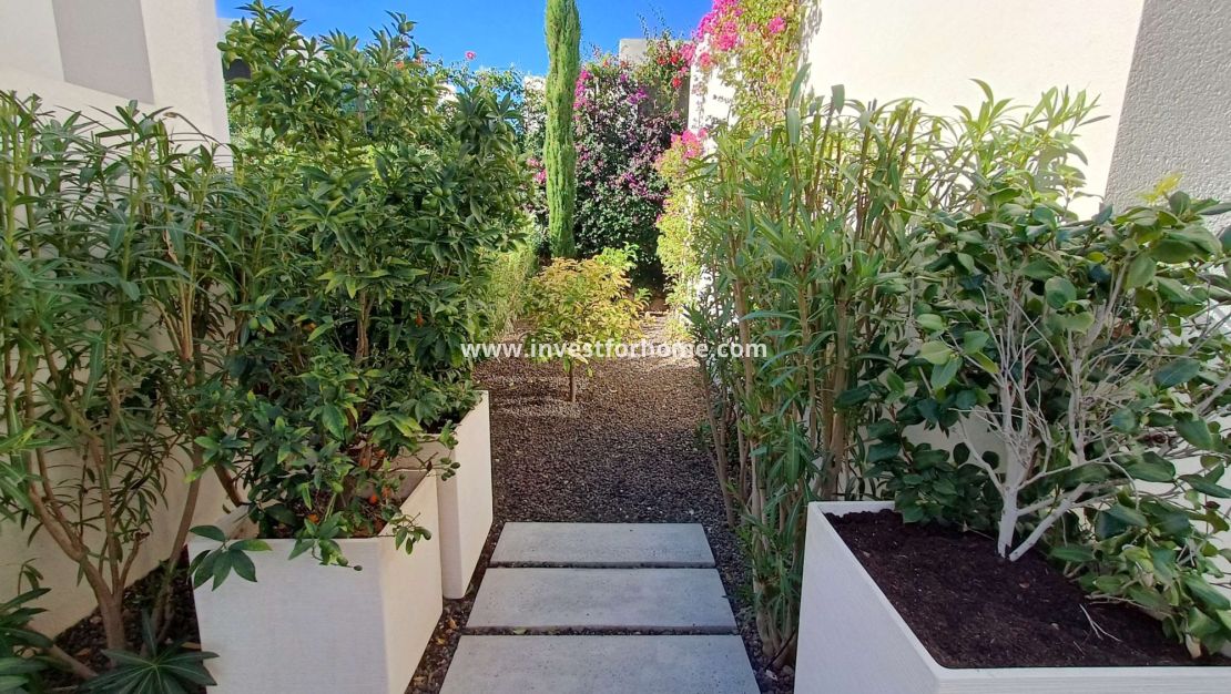 Försäljning - Villa - Algorfa - Inland