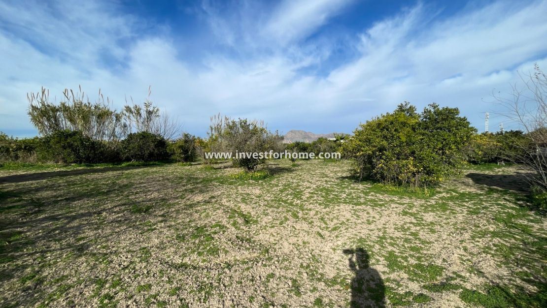 Försäljning - Villa - Benejuzar - Inland