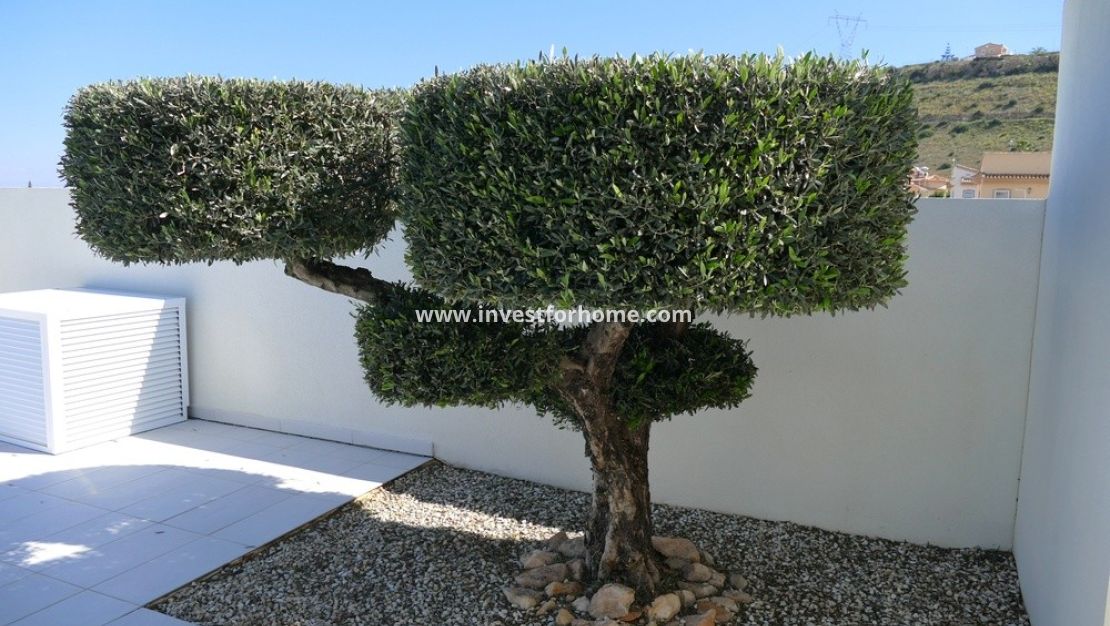 Försäljning - Villa - Benijofar - Costa Blanca