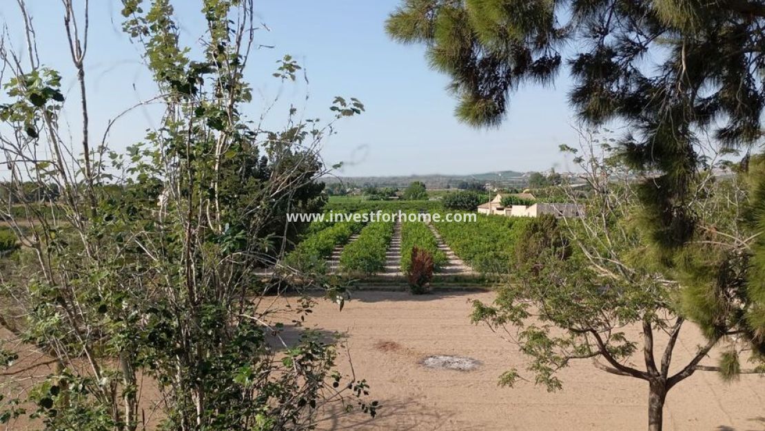 Försäljning - Villa - Daya Nueva - Costa Blanca