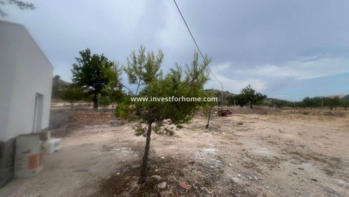 Försäljning - Villa - La Solana