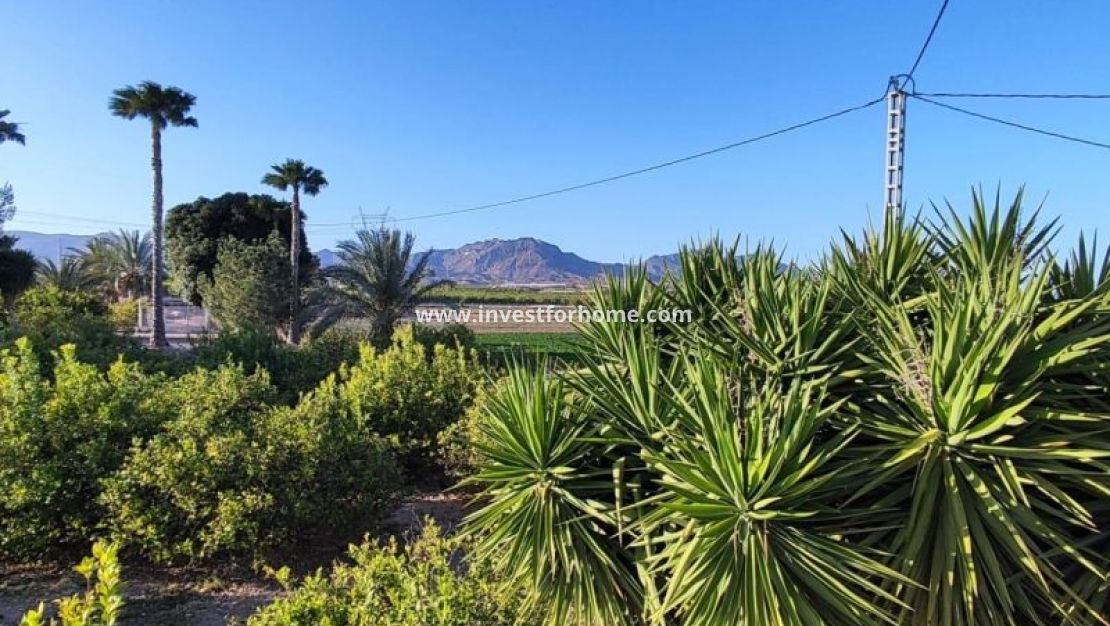 Försäljning - Villa - Orihuela Costa - Inland