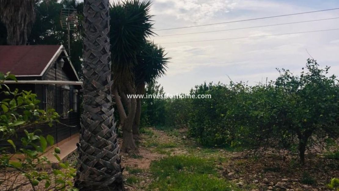 Försäljning - Villa - Orihuela Costa - Inland