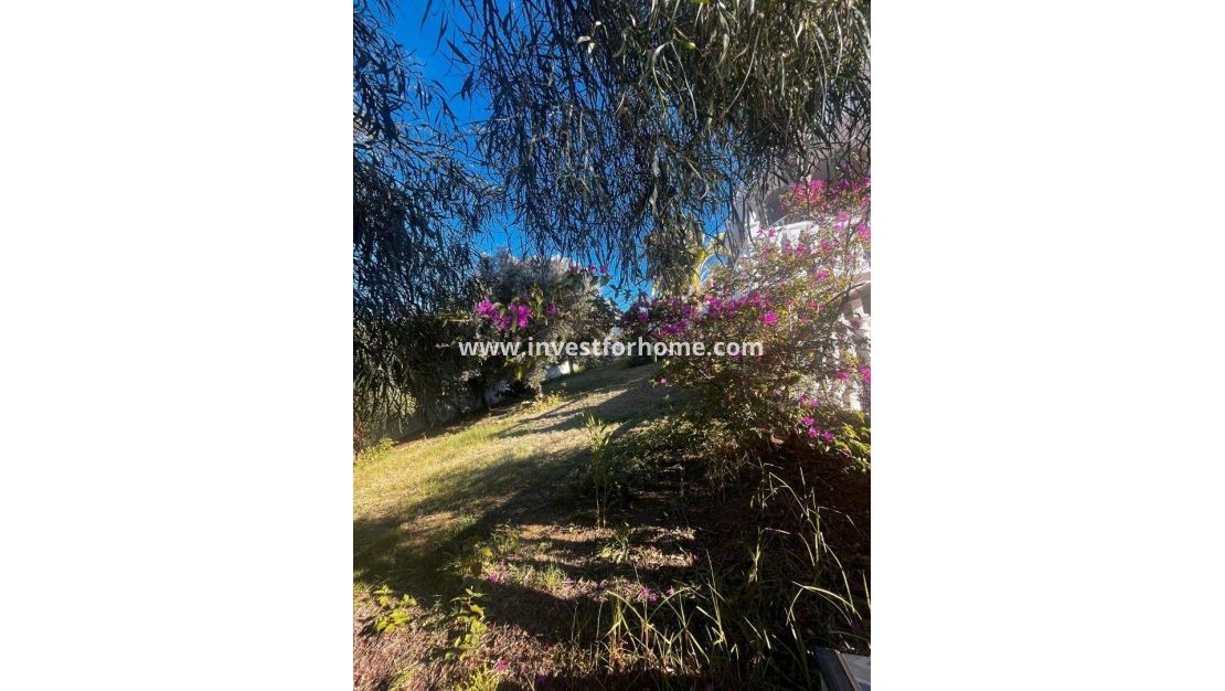 Försäljning - Villa - Rojales - La Marquesa Golf