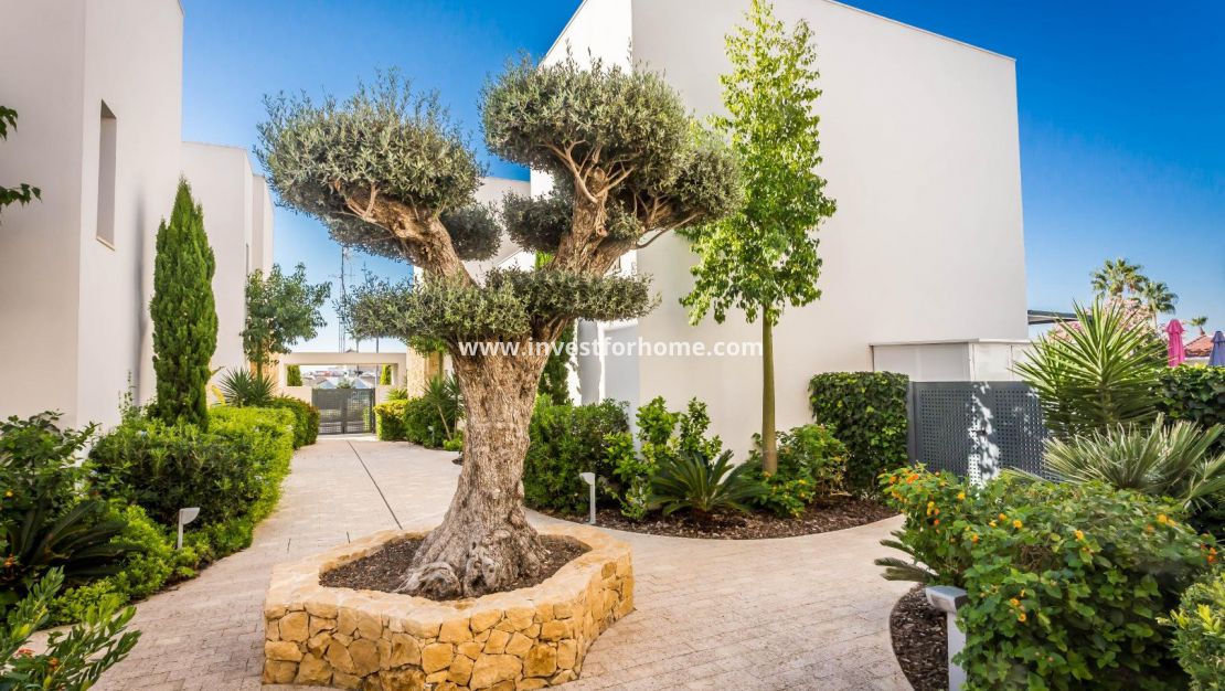 Försäljning - Villa - Rojales