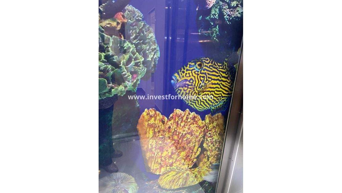 Försäljning - Villa - San Miguel de Salinas - Altos De San Miguel