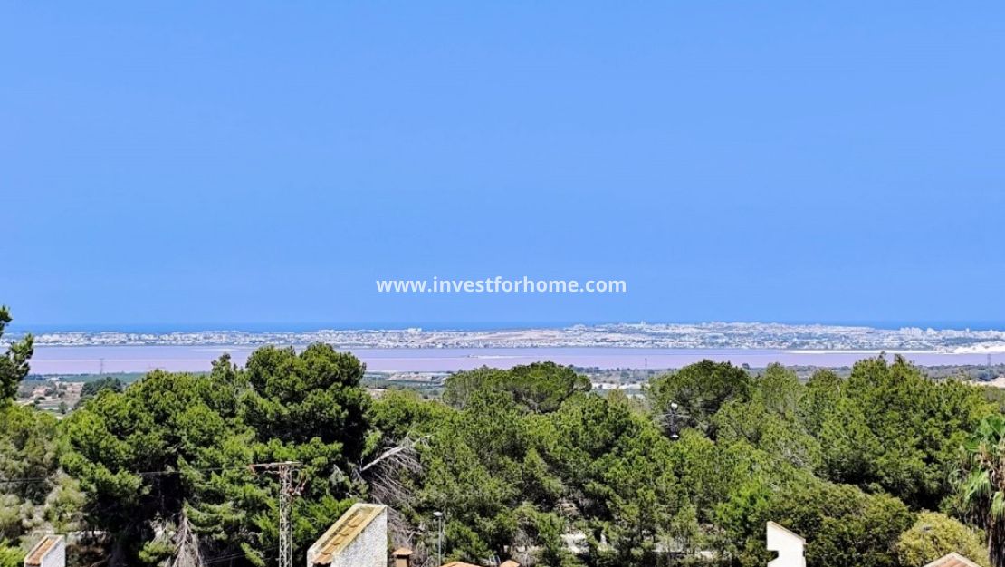 Försäljning - Villa - San Miguel de Salinas - Inland