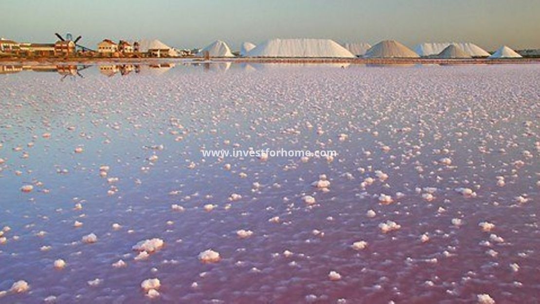 Försäljning - Villa - Torre de La Horadada - Costa Blanca
