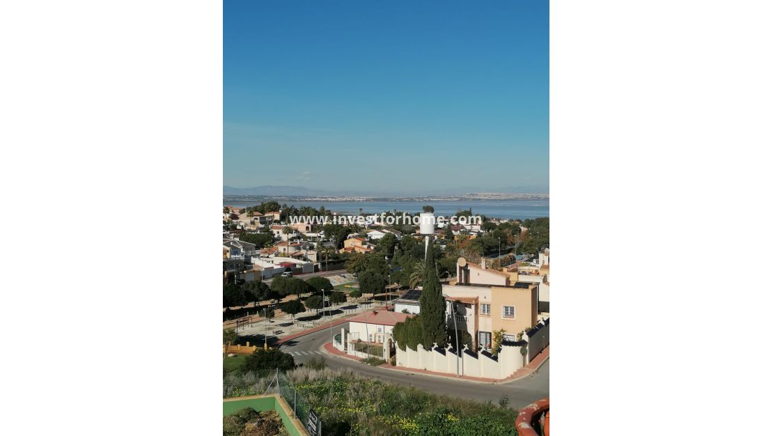 Försäljning - Villa - Torrevieja - Costa Blanca