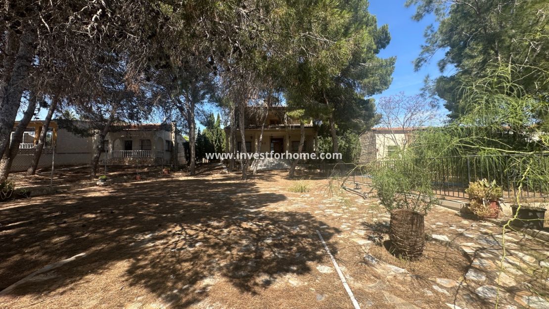 Försäljning - Villa - Torrevieja - Costa Blanca