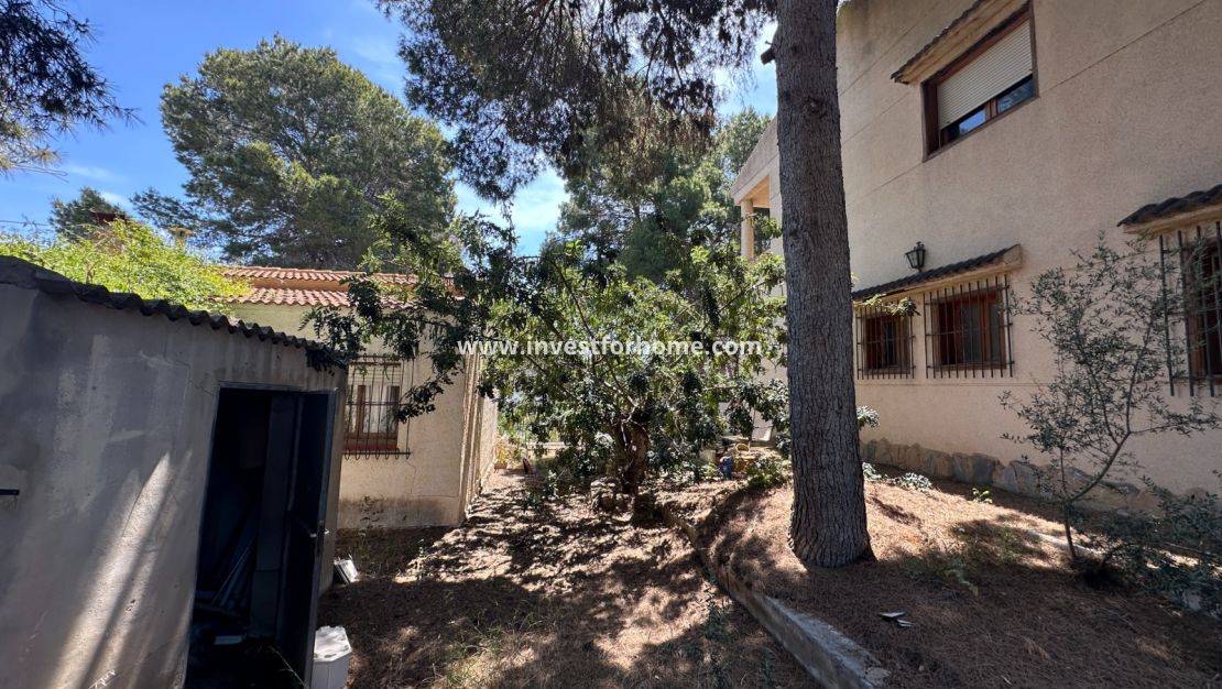Försäljning - Villa - Torrevieja - Costa Blanca