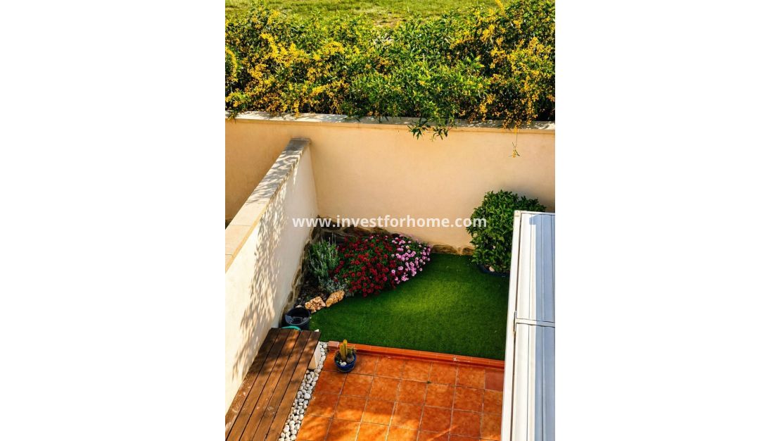 Försäljning - Villa - Torrevieja - Costa Blanca