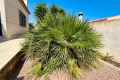 Försäljning - Villa - Torrevieja - Costa Blanca