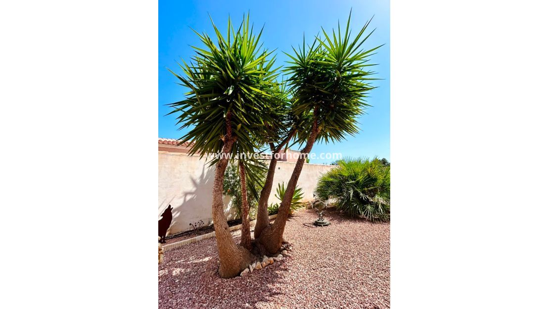 Försäljning - Villa - Torrevieja - Costa Blanca