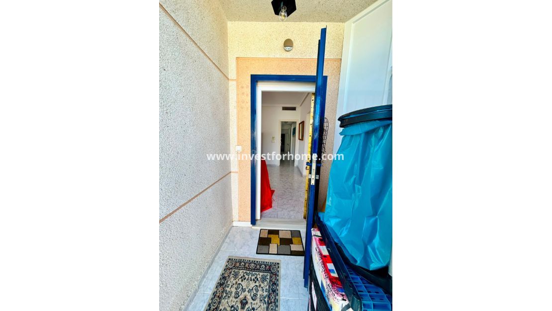 Försäljning - Villa - Torrevieja - Costa Blanca
