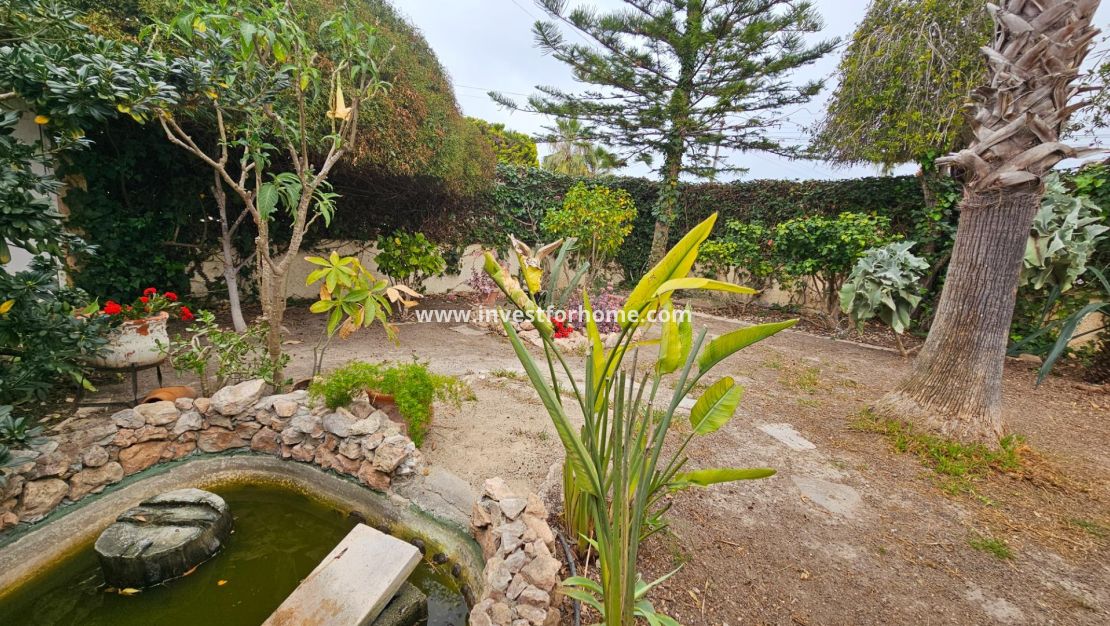 Försäljning - Villa - Torrevieja - El Chaparral