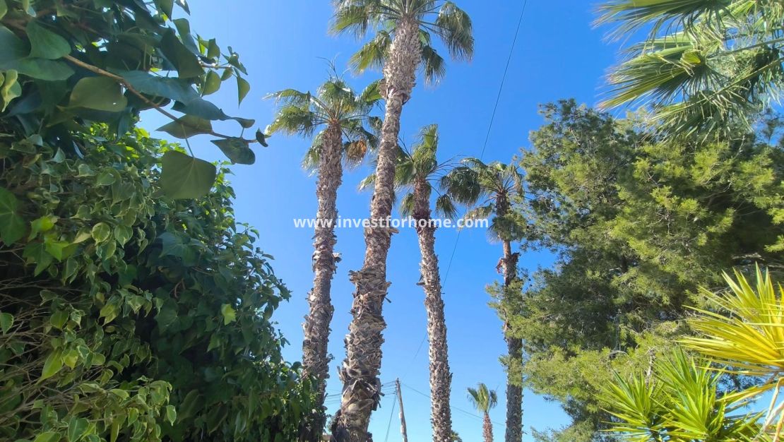 Försäljning - Villa - Torrevieja - La Siesta-El Chaparral