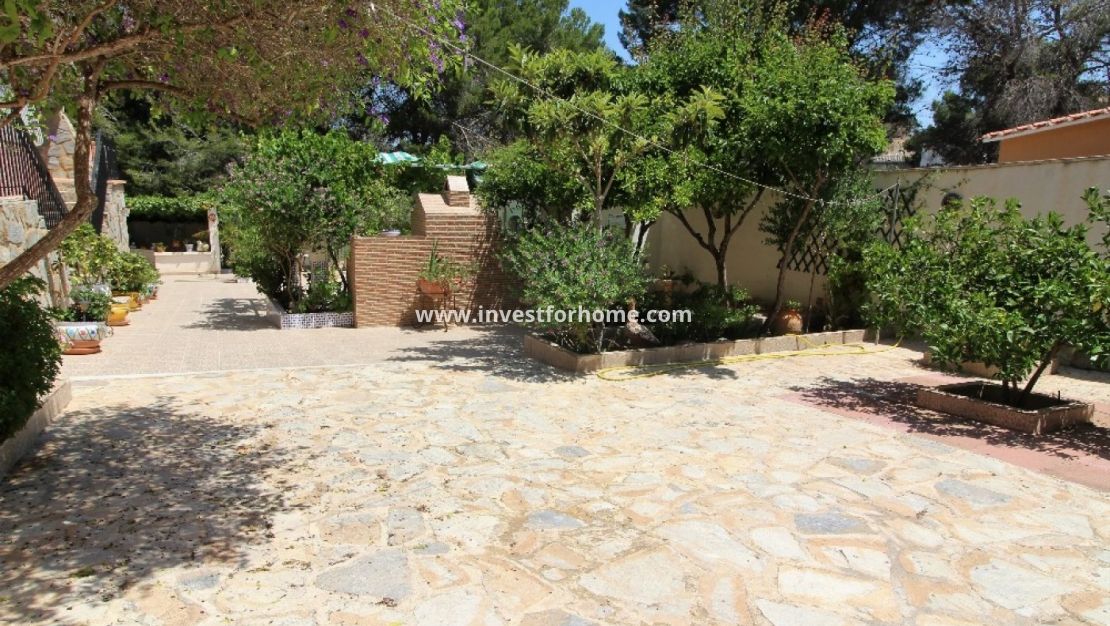 Försäljning - Villa - Torrevieja - Los Balcones