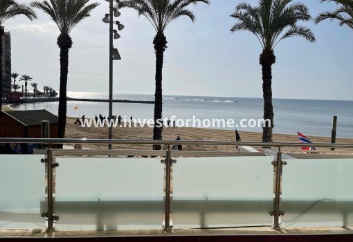 House - Sale - Torrevieja - ND-79821
