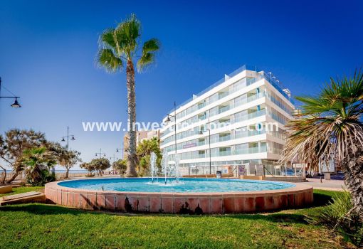 Lägenhet - Nybyggnad - Torrevieja - TO-CE-AN01