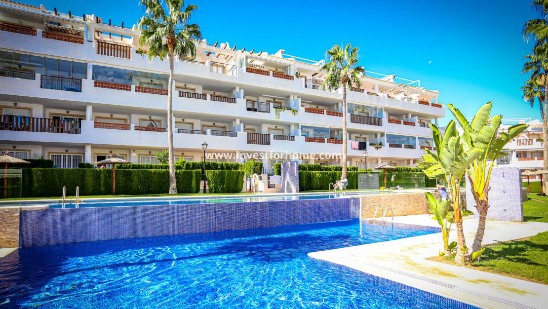 Linnea Sol Villamartin Orihuela Costa Costa Blanca