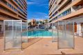 Long time Rental - Apartment - Torrevieja - Playa del Acequión