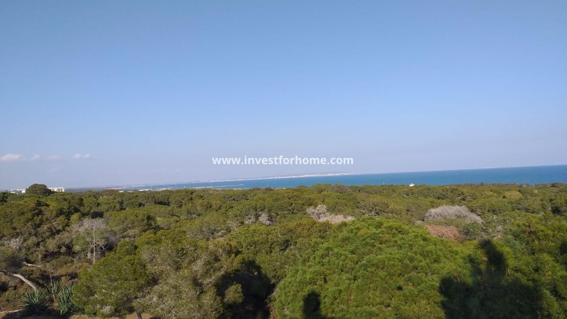 New Build - Apartment - Guardamar del Segura - Pueblo