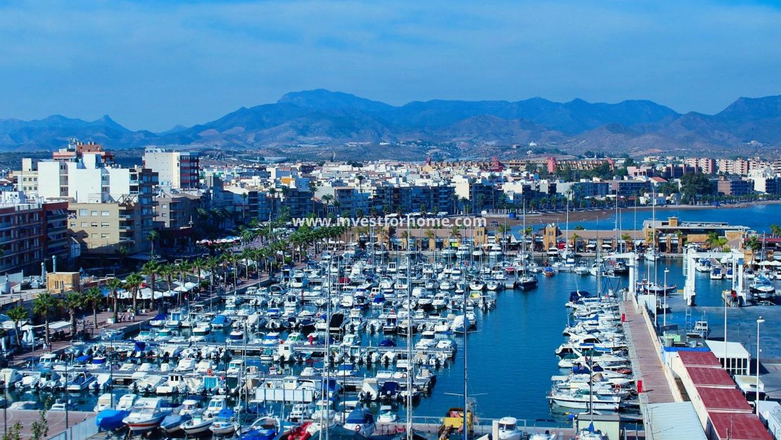 New Build - House - Fuente Álamo - La Pinilla