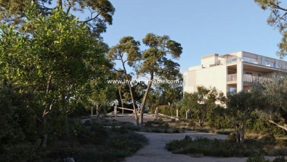 New Build - House - Godella - Campolivar