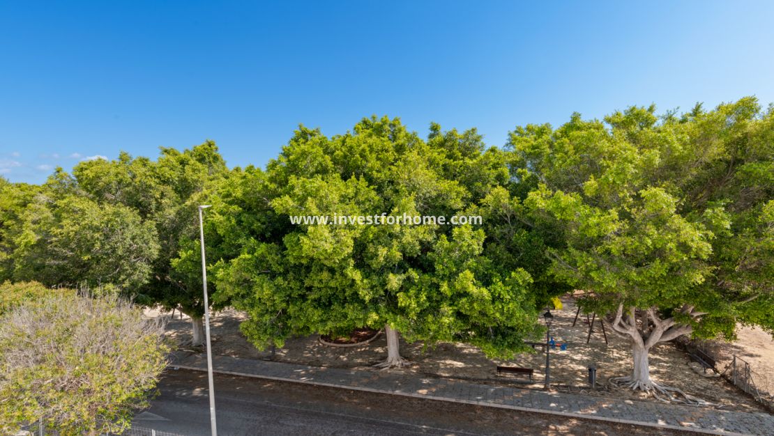 New Build - House - Pilar de la Horadada