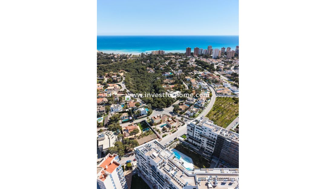 New Build - Villa - Orihuela Costa - Dehesa de Campoamor