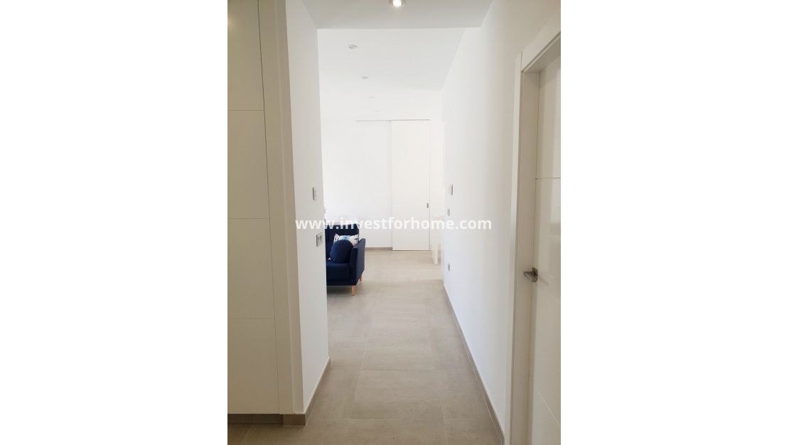 New Build - Villa - Pilar de la Horadada - Pinar de Campoverde