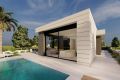 New Build - Villa - Pilar de la Horadada
