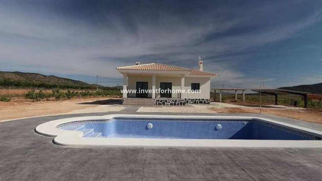 New Build - Villa - Pinoso - Camino Del Prado
