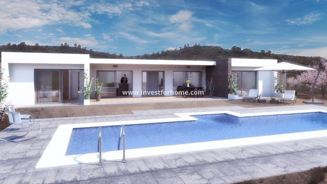 New Build - Villa - Pinoso - Camino Del Prado