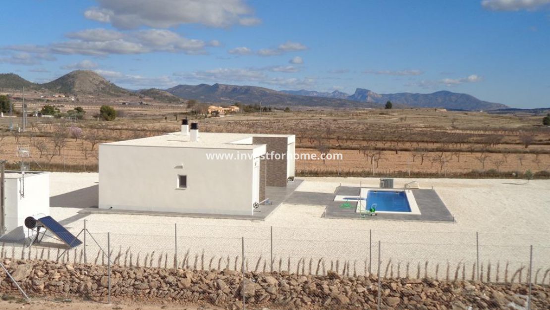 New Build - Villa - Pinoso - Camino Del Prado