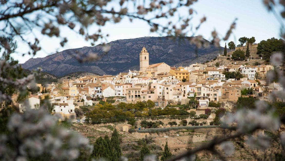 New Build - Villa - Polop - Polop Hills