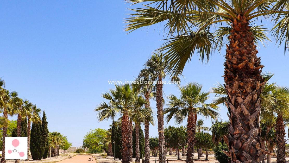 New Build - Villa - San Fulgencio - La Escuera